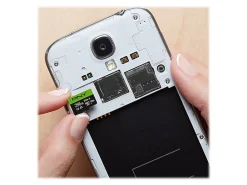 PNY Elite-X Class 10 U3 V30 microSDXC Flash Memory Card, 256GB