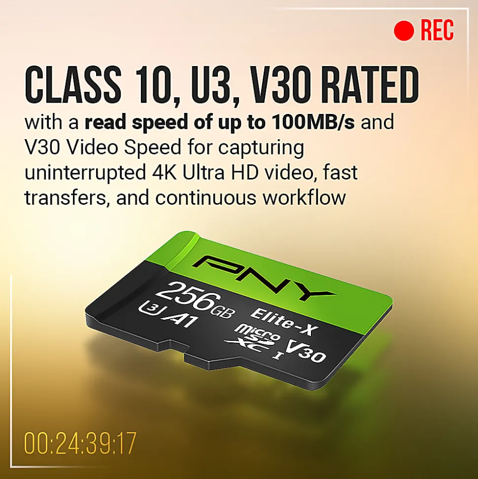 PNY Elite-X Class 10 U3 V30 microSDXC Flash Memory Card, 256GB
