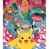 Pokemon 2-Pocket Paper Folder, 11.75" x 9.5"