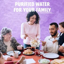 Pure Life Purified Water, 8 Oz, Case of 24 bottles