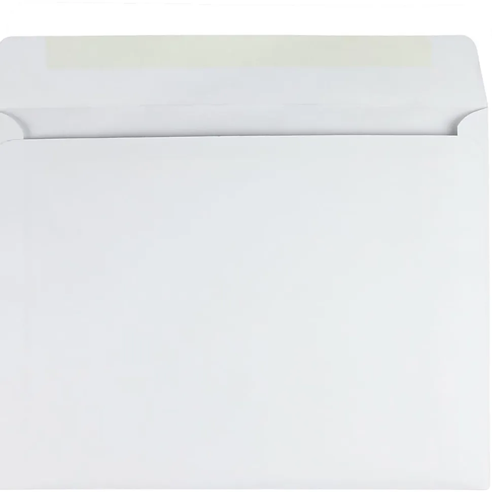 Quality Park Booklet Envelopes, 10" x 13", White, Box Of 100
