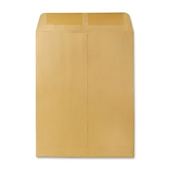 Quality Park® Catalog Envelopes, Gummed Closure, 10" x 13", Brown, Box Of 100