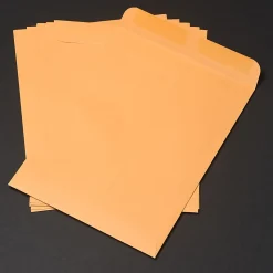 Quality Park® Catalog Envelopes With Gummed Closure, 9