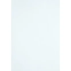 Quality Park® Catalog Envelopes, Gummed Closure, 6" x 9", White, Box Of 500