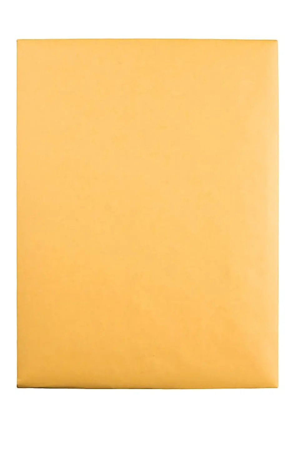 Quality Park® Envelopes, 9" x 12", Clasp Closure, Brown, Box Of 100, QUA37891