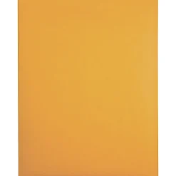 Quality Park Gummed Kraft Clasp Envelopes - Clasp - #90 - 9