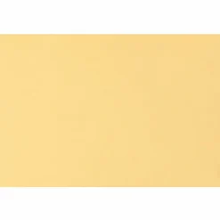 Quality Park Heavy-Duty Document Envelopes - Catalog - 10" Width x 15" Length - 32 lb - Gummed - 100 / Box - Cameo