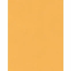 Quality Park® Jumbo 15