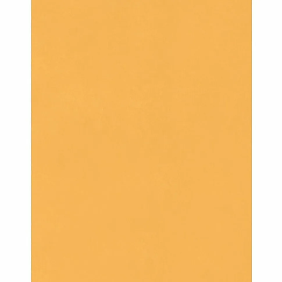 Quality Park® Jumbo 15" x 20" Manila Envelopes , Brown Kraft, Flap Closure, Box Of 25