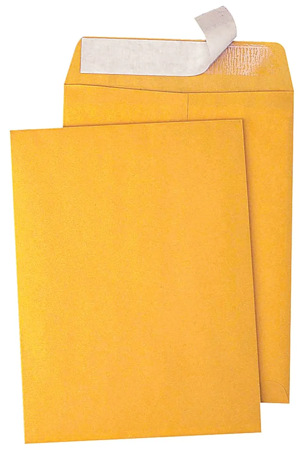 Quality Park® Redi-Strip™ Catalog Envelopes, 9" x 12", Self-Adhesive, Brown Kraft, Box Of 100