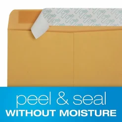 Quality Park® Redi-Strip™ Catalog Envelopes, 9" x 12", Self-Adhesive, Brown Kraft, Box Of 100
