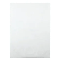 Quality Park® Tyvek® Expansion 10