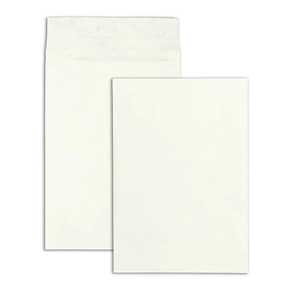 Quality Park® Tyvek® Expansion Envelopes, Short-Side Opening, 12" x 16" x 2", 14 Lb, White, Carton Of 100