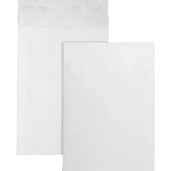 Quality Park® Tyvek® 12