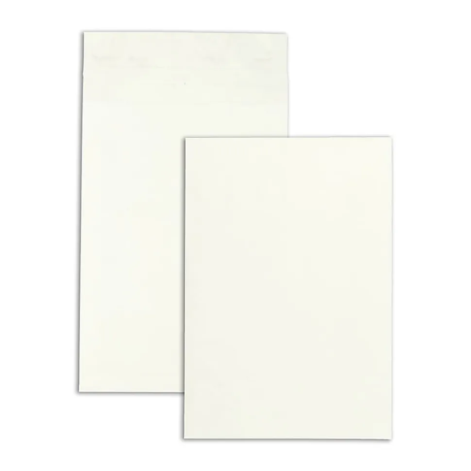 Quality Park® Tyvek® 12" x 16" x 2" Expansion Envelopes, 18 Lb, Self-Adhesive Closure, White, Carton Of 100