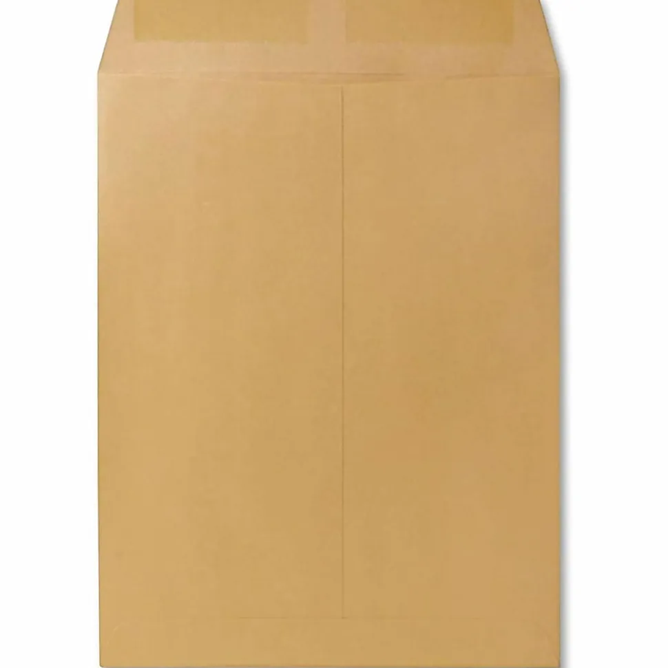 Quality Park® 9 1/2" x 12 1/2" Catalog Envelopes, Gummed Seal, Brown, Box Of 250