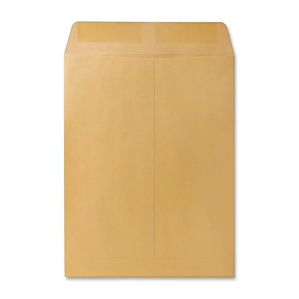 Quality Park® 9 1/2" x 12 1/2" Catalog Envelopes, Gummed Seal, Brown, Box Of 250