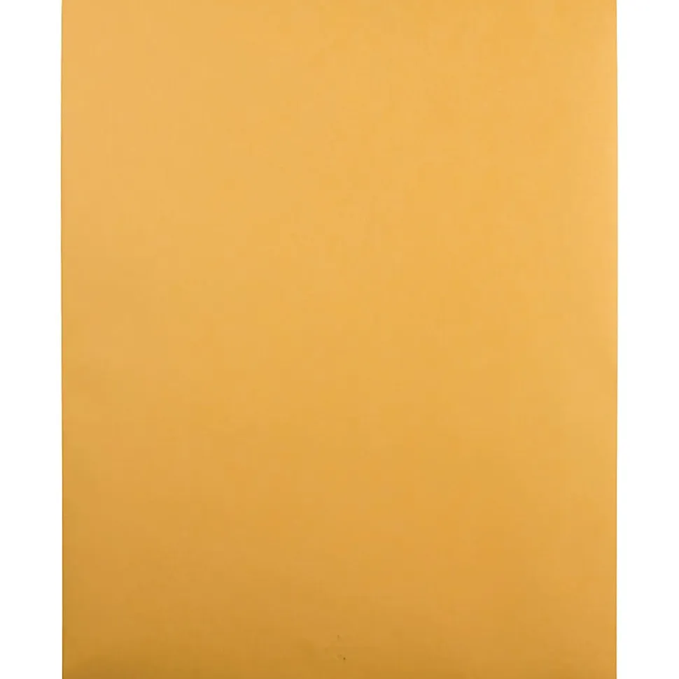Quality Park® 12" x 15 1/2" Envelopes, Claps Closure, Brown, Box Of 100