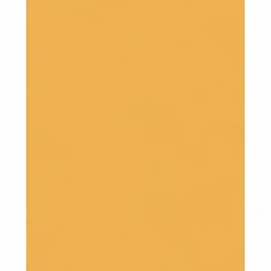 Quality Park 8-3/4 x 11-1/2 Extra Heavy-duty Clasp Envelopes - Clasp - 8 3/4" Width x 11 1/2" Length - 32 lb - Gummed - Cameo - Kraft - 100 / Box
