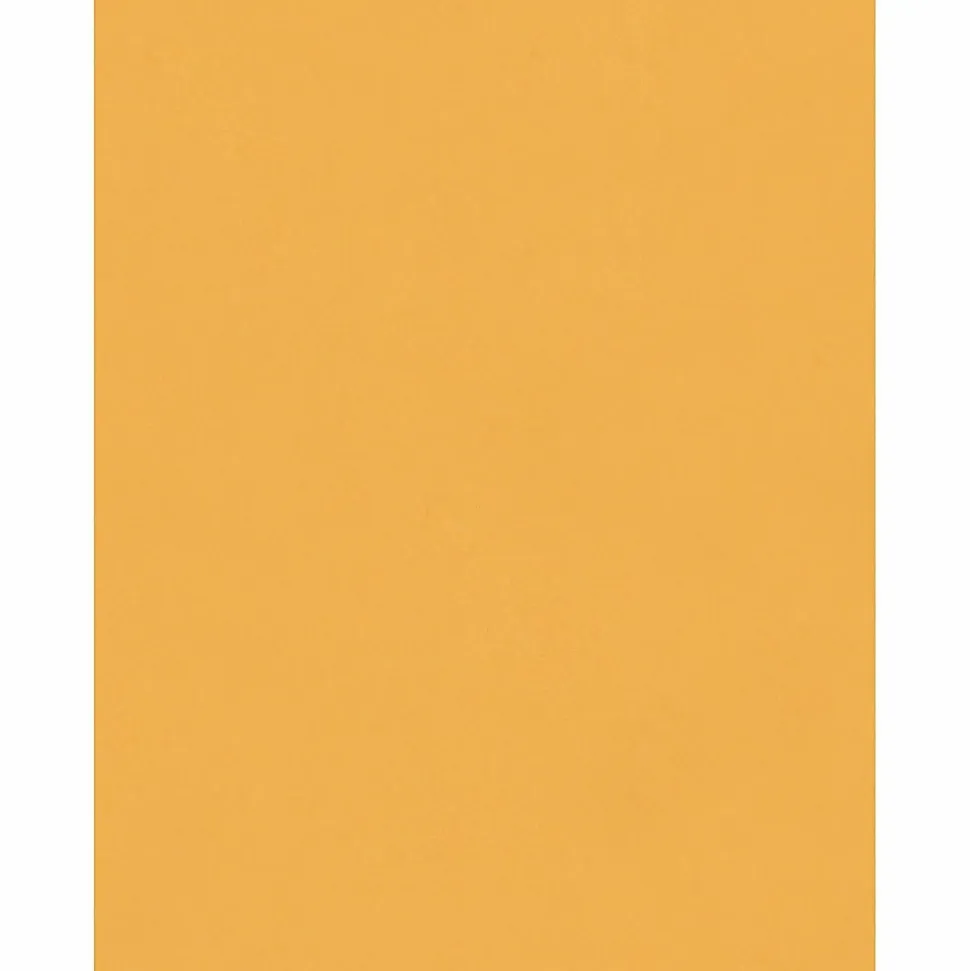 Quality Park 8-3/4 x 11-1/2 Extra Heavy-duty Clasp Envelopes - Clasp - 8 3/4" Width x 11 1/2" Length - 32 lb - Gummed - Cameo - Kraft - 100 / Box