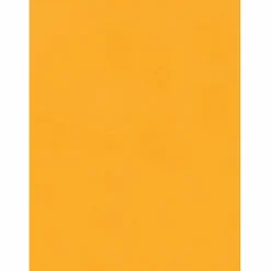 Quality Park 9x 12 Hi Bulk Catalog Envelopes with Self-Seal Closure - Catalog - 9"x 12" - 24 lb - Self-sealing Flap - Kraft - 100 Box - Brown Kraft