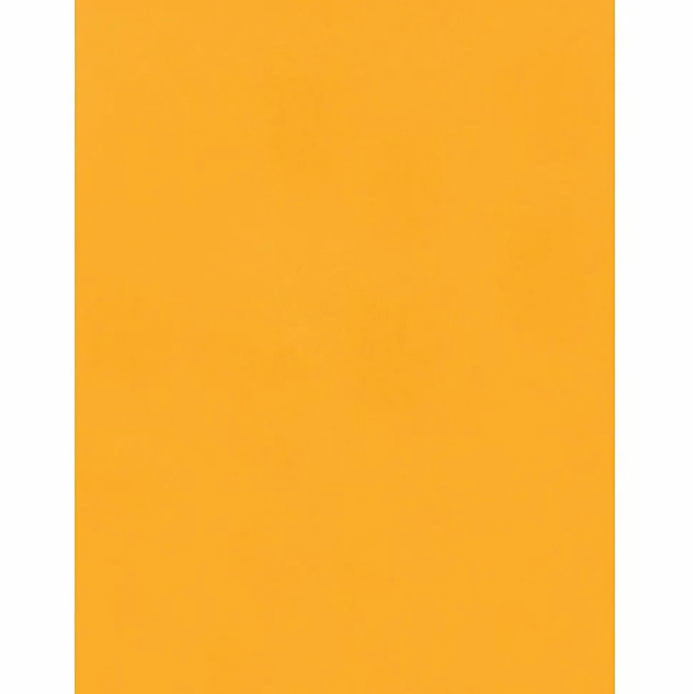 Quality Park 9x 12 Hi Bulk Catalog Envelopes with Self-Seal Closure - Catalog - 9"x 12" - 24 lb - Self-sealing Flap - Kraft - 100 Box - Brown Kraft