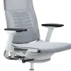 Raynor® Powerfit Ergonomic Mesh High-Back Executive Office Chair, Gray/White