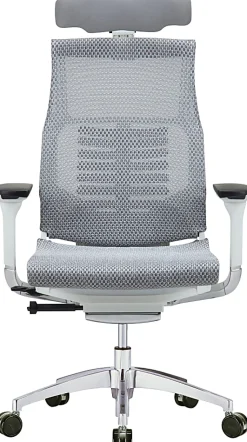 Raynor® Powerfit Ergonomic Mesh High-Back Executive Office Chair, Gray/White