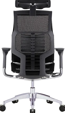 Raynor® Powerfit Ergonomic Mesh High-Back Executive Office Chair, Black