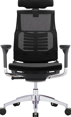 Raynor® Powerfit Ergonomic Mesh High-Back Executive Office Chair, Black