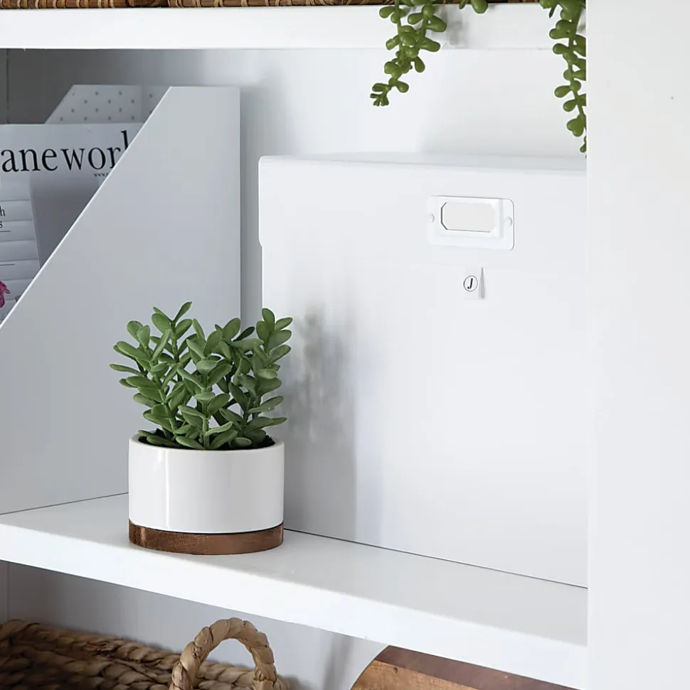 Realspace® File Storage Box, Letter Size, 14" x 10-1/4" x 5-1/2", White