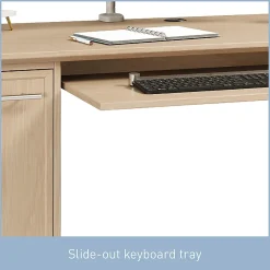 Realspace® Koru 60
