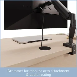 Realspace® Koru 60