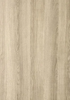 Realspace® Magellan 60