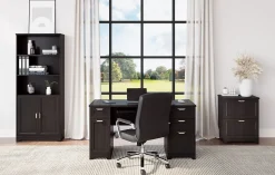 Realspace® Magellan 23-1/2"W x 16-9/16"D Lateral 2-Drawer File Cabinet, Espresso