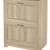 Realspace® Magellan 23-1/2"W x 16-1/2"D Lateral 2-Drawer File Cabinet, Blonde Ash