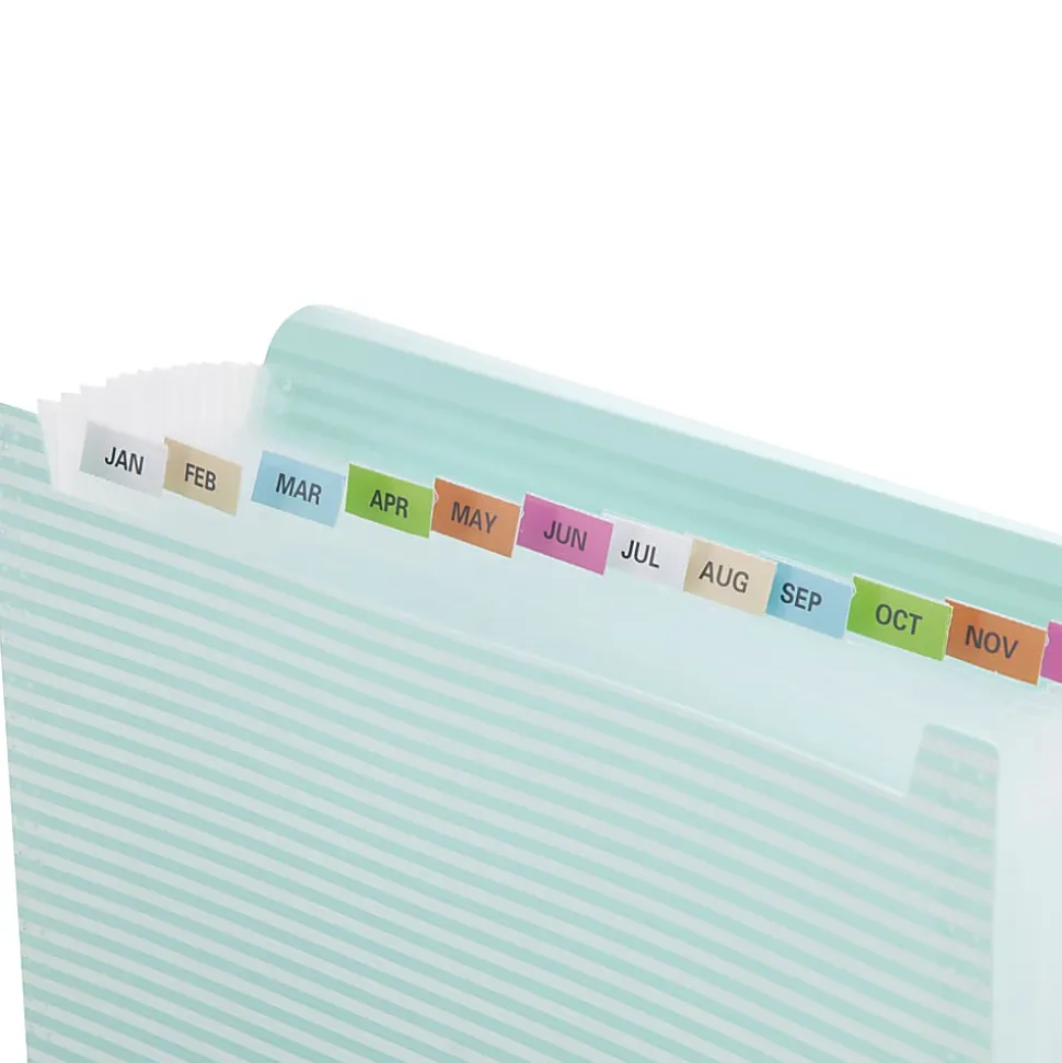 Realspace™ 13-Pocket Poly Expanding File Folder, Letter Size, 13" Expansion, Blue/White