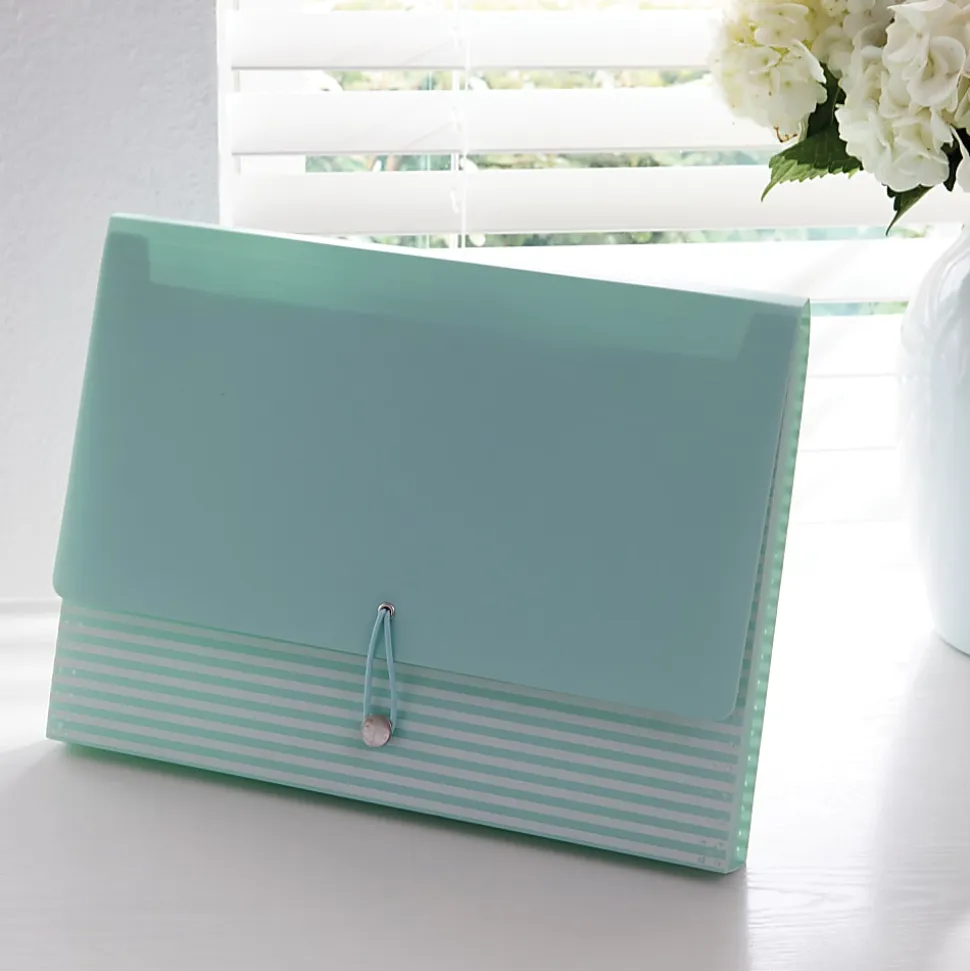 Realspace™ 13-Pocket Poly Expanding File Folder, Letter Size, 13" Expansion, Blue/White