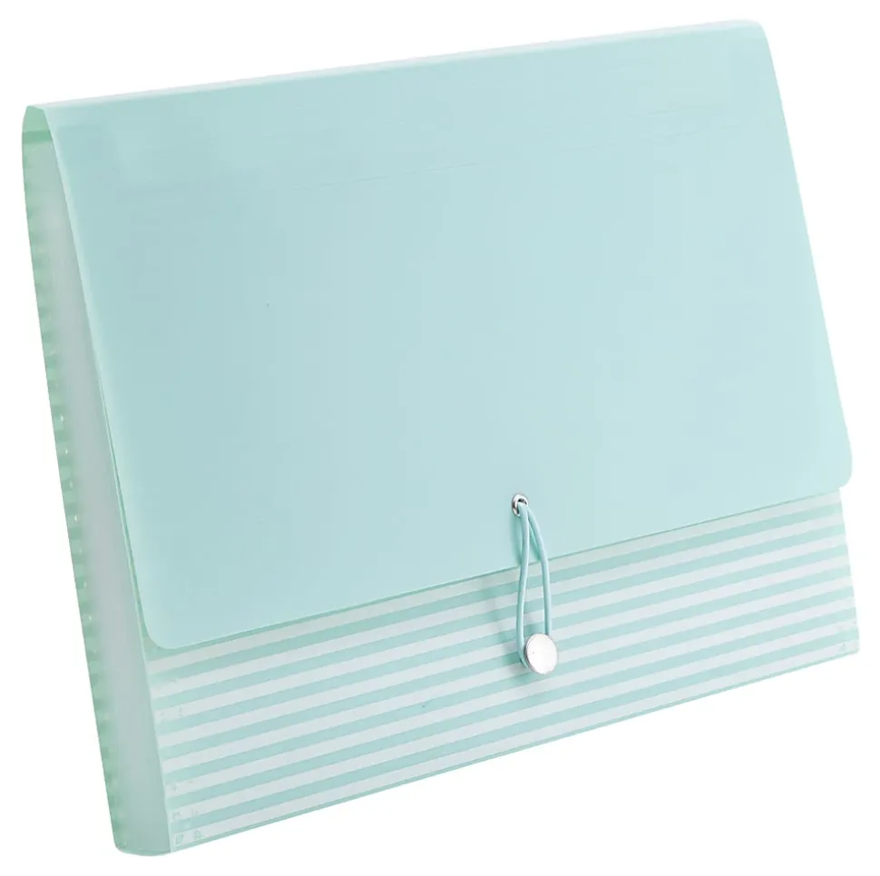 Realspace™ 13-Pocket Poly Expanding File Folder, Letter Size, 13" Expansion, Blue/White