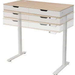 Realspace® Smart Electric 48