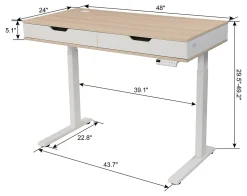 Realspace® Smart Electric 48