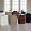 Realspace® 29-7/16"W x 18-1/2"D Lateral 2-Drawer File Cabinet, Spring Oak