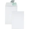 Redi-Strip #1 Catalog Envelope, Self-Adhesive, White, Box Of 100