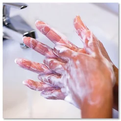 Safeguard Liquid Hand Soap, Clean Scent, 128 Oz, Carton Of 2 Bottles