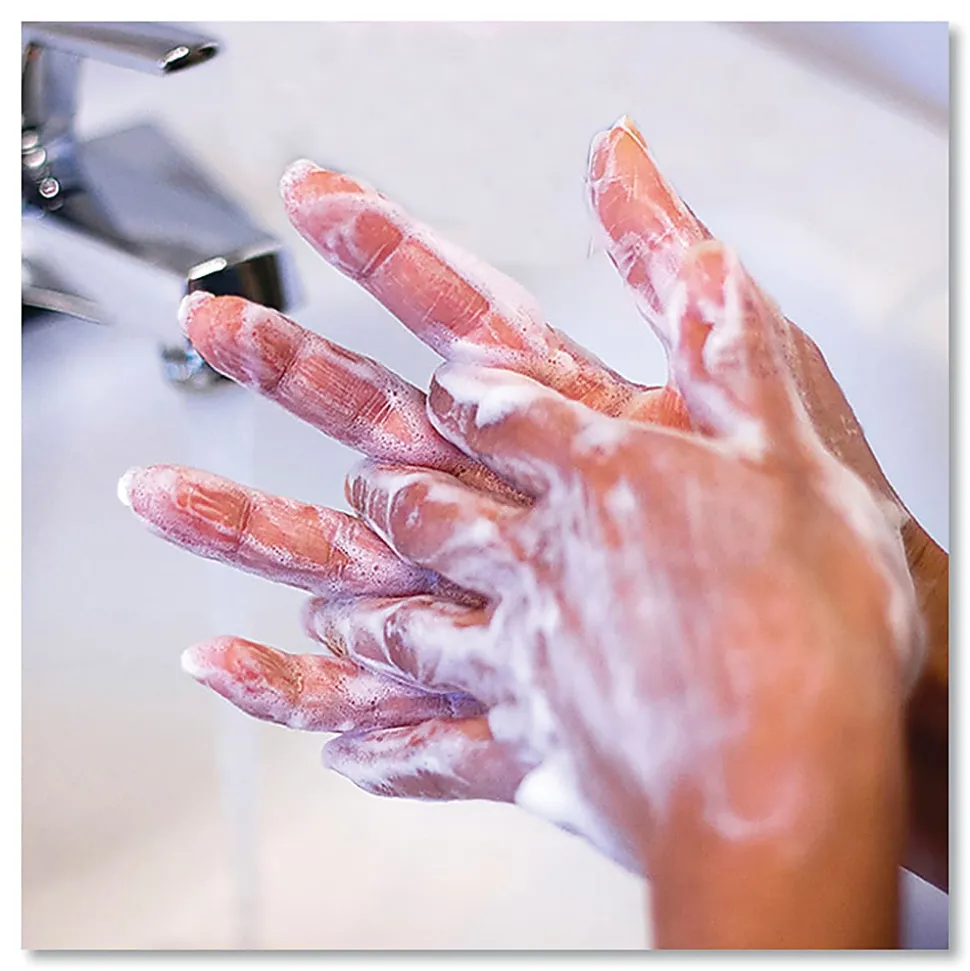 Safeguard Liquid Hand Soap, Clean Scent, 128 Oz, Carton Of 2 Bottles