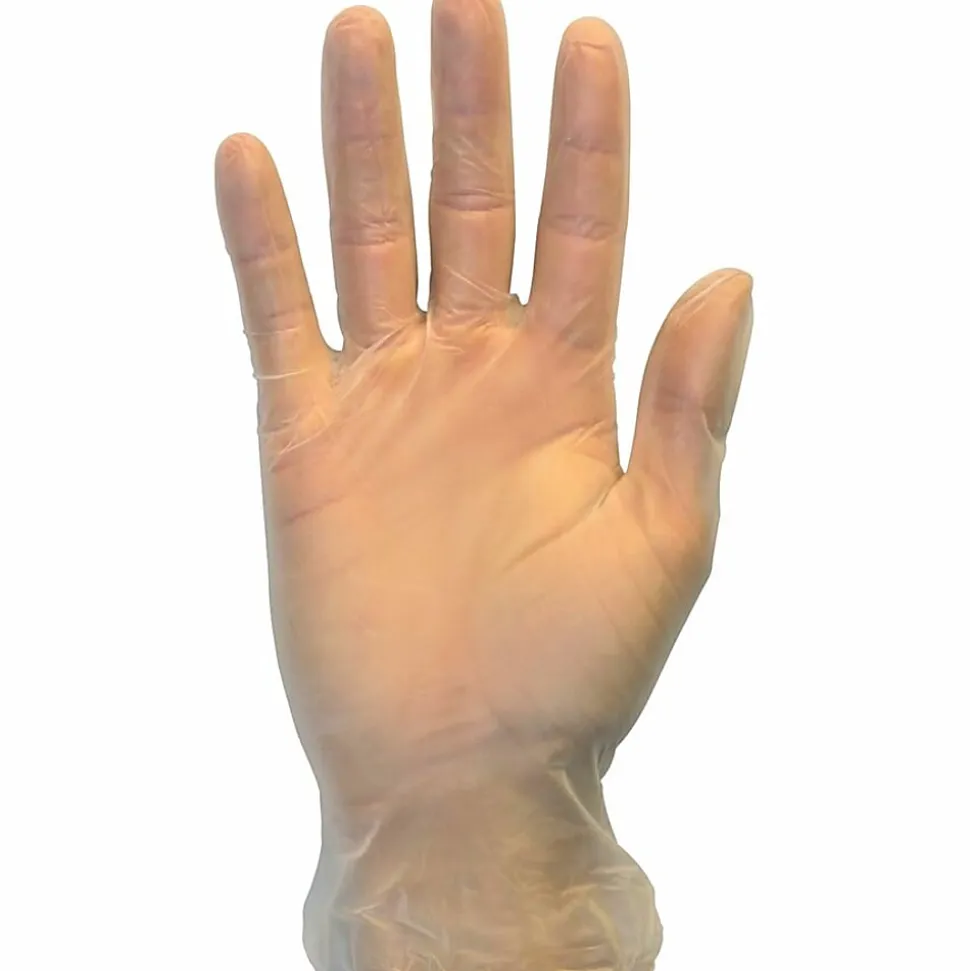 Safety Zone Powder Free Clear Vinyl Gloves - 9.25" Glove - Medium Size - Clear - Latex-free, DEHP-free, DIN - GVP9MDHH