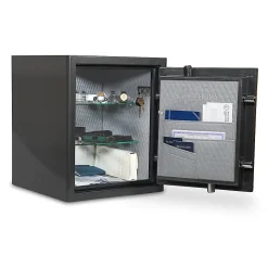 Sanctuary Platinum Digital Home/Office Safe, 3.32 Cu. Ft., Dark Grey Metallic