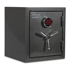 Sanctuary Platinum Digital Home/Office Safe, 1.96 Cu. Ft., Dark Grey Metallic