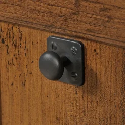 Sauder® Carson Forge 60