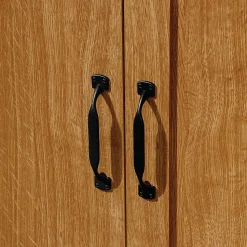 Sauder® Select Storage Cabinet, Highland Oak